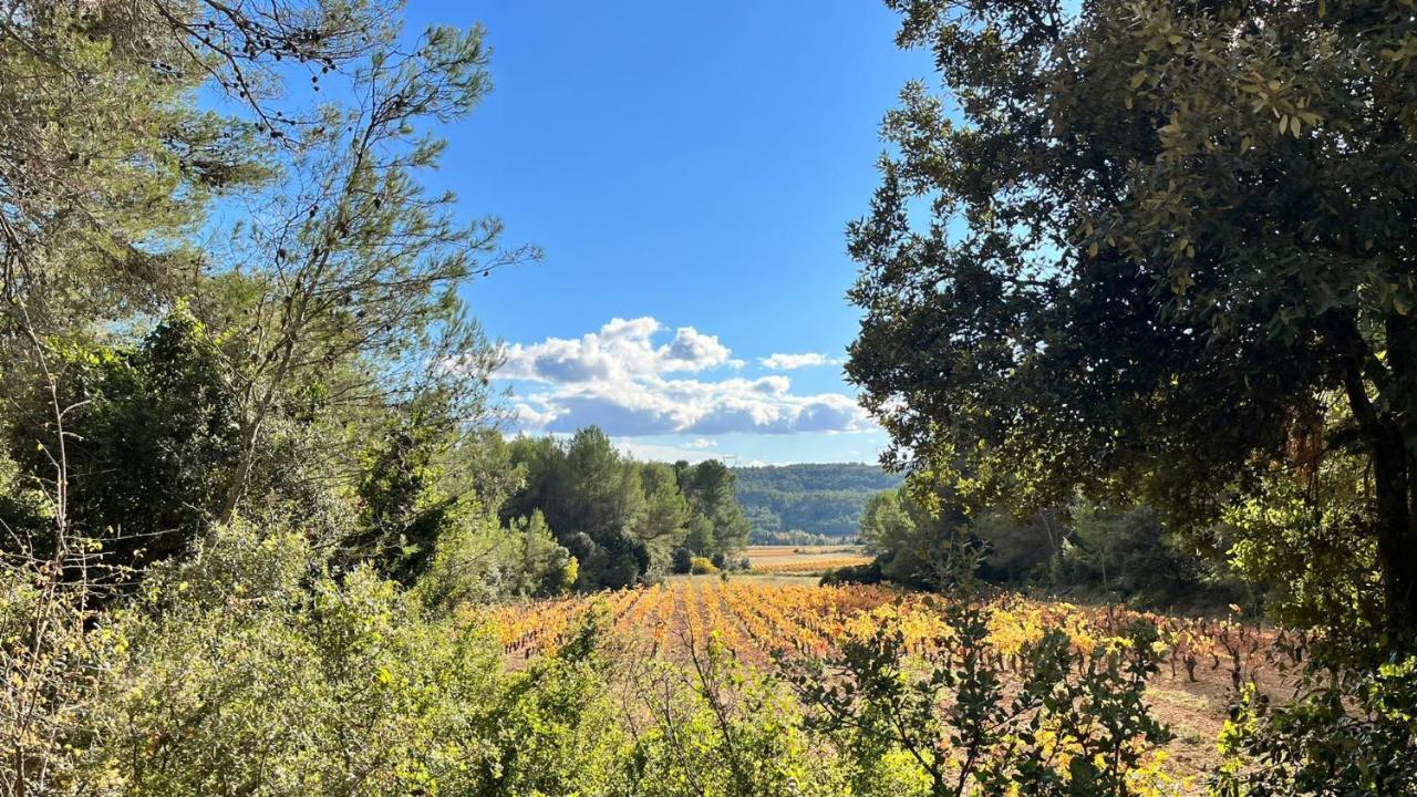 Le Chalet Saint-Jean-de-Minervois Esterno foto